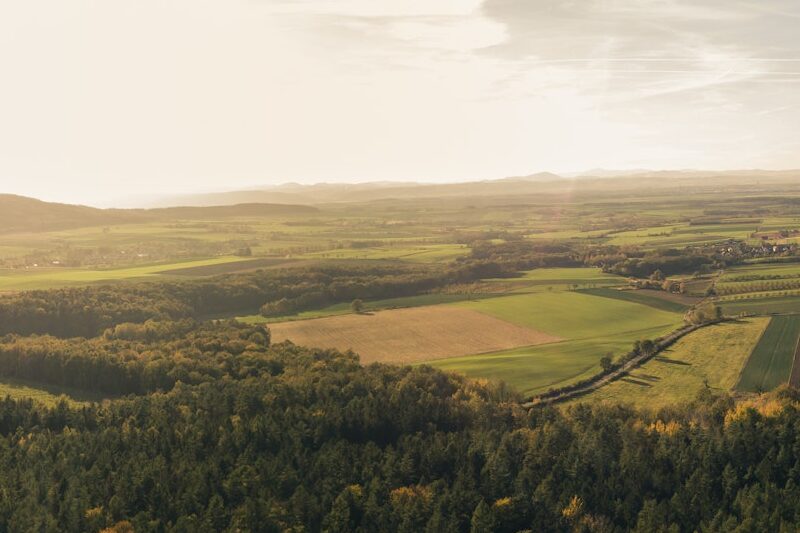 Inspirational aerial landscape, autumn forest and fields